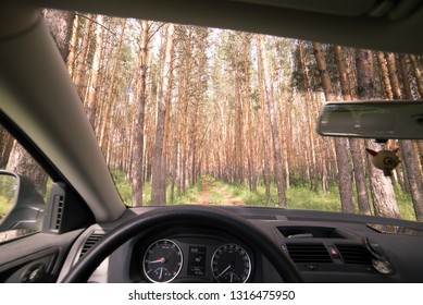 view in car