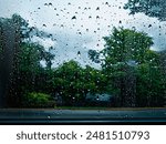 View from the car window on a rainy day