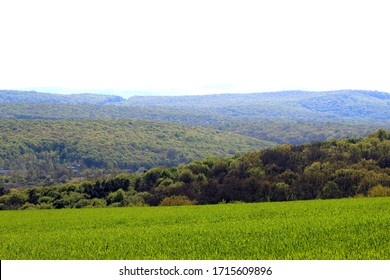 View Of The Carpathian Basin.