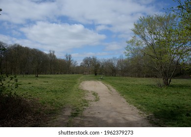 A View Of Cassiobury Park In Watford 