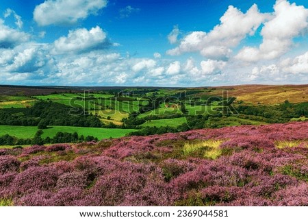 The view from Castleton in the North York Moors, looking out to Commondale Moor