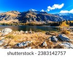 A view of the Cavlocc lake, in Engadine, Switzerland, and the mountains surrounding it and with autumn colours.
