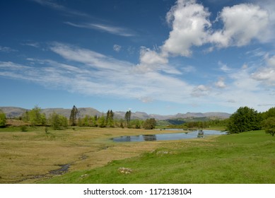 View Of Central Fells Over Wise Een Tarn On Claife Heights, Lake District