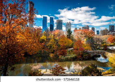 View Of Central Park And The New York City Skyline