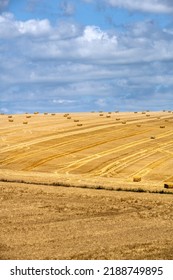 View Of A Cereal Field With Square Straw Bales In The South Downs National Park, East Sussex, England