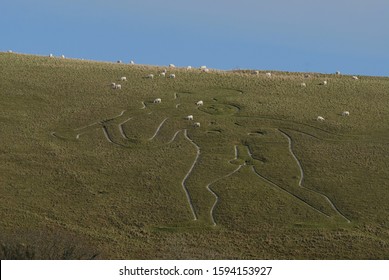 View to The Cerne Abbas Giant, an ancient naked figure cut in to the chalk hillside above the village of Cerne Abbas, Dorset, England