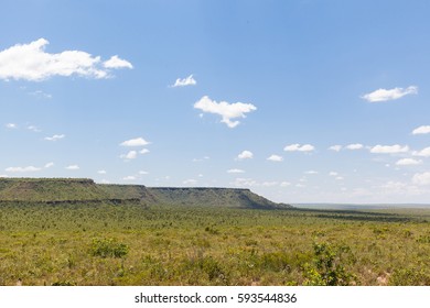 View Of Cerrado Biome - Tocantins - Brazil