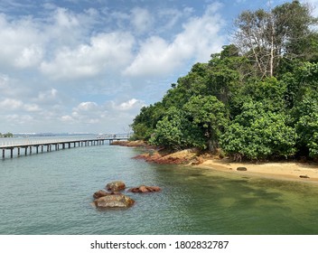 View Of Chek Jawa Wetlands In Pulau Ubin.