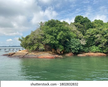 View Of Chek Jawa Wetlands In Pulau Ubin