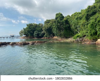 View Of Chek Jawa Wetlands In Pulau Ubin