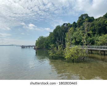 View Of Chek Jawa Wetlands In Pulau Ubin.