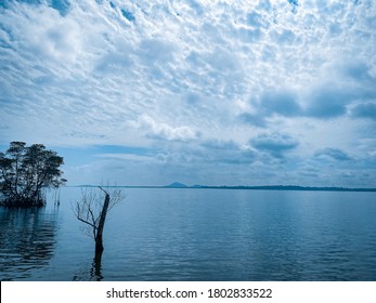 View Of Chek Jawa Wetlands In Pulau Ubin