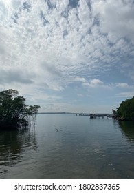 View Of Chek Jawa Wetlands In Pulau Ubin.