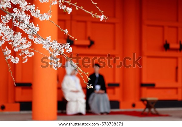 新婚夫婦の背景に桜 桜 の花見 花見 花婿の側に白無垢の白無垢を着て 京都 三十三間堂の赤門の前に座る の写真素材 今すぐ編集