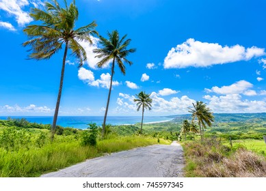 View From Cherry Tree Hill To Tropical Coast Of  Caribbean Island Barbados