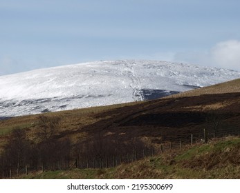 View Of The Cheviot In North Northumberland, England On A Winter Day.