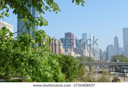 View of Chicago with trees