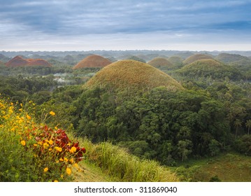 View Of The Chocolate Hills In Bohol, Philippines