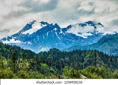 A view of the Chugach National Forest on Prince William Sound , Alaska