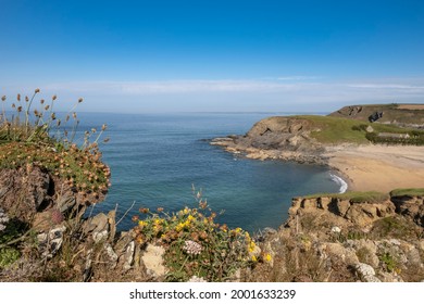 View of Church Cove from the South West Coast path on the Lizard peninsular, UK.