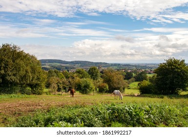 View Of The Church Of Loker With The Kemmelberg In The Background. Belgium.