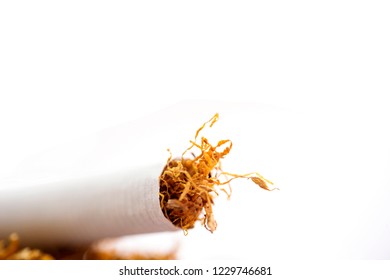 View Of The Cigarettes And Tobacco. Tobacco Is A Product Prepared From The Leaves Of The Tobacco Plant By Curing Them. The Plant Is Part Of The Genus Nicotiana And Of The Solanaceae Family.