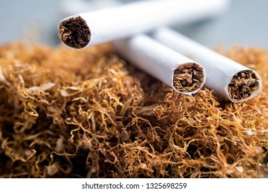 View Of The Cigarettes And Tobacco Stack. The Tobacco Plant Is Part Of The Genus Nicotiana And Of The Solanaceae (nightshade) Family.