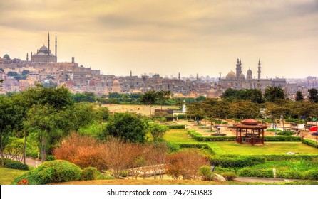 View of the Citadel with Muhammad Ali Mosque from Al-Azhar Park - Cairo, Egypt
