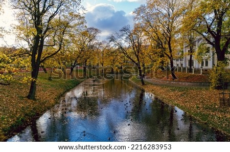 View of the city canal with ducks during autumn. A colorful view of the canal
