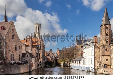 view of the city canal with ducks and swans with a beautiful gothic cathedral in the background