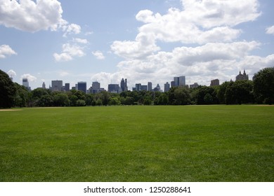 View Of The City From Central Park