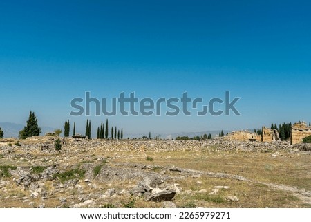 View of city ruins and landscape with black cypress trees from main street in Hierapolis, Pamukkale, Denizli, Turkey. Copy space for text.