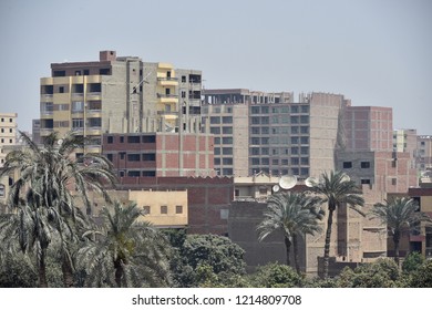 View Of A City Skyline Frame With A Smoggy Sky And Palm Trees