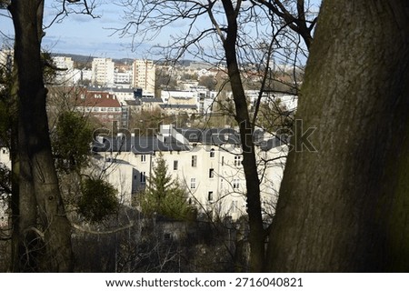 View of the city through leafless trees, trunks and branches in the foreground, white buildings with dark roofs, modern taller buildings visible on the hill in the background