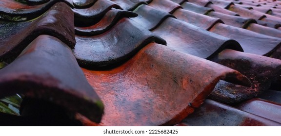 view of clay roof tiles, wet from rain.
 - Shutterstock ID 2225682425