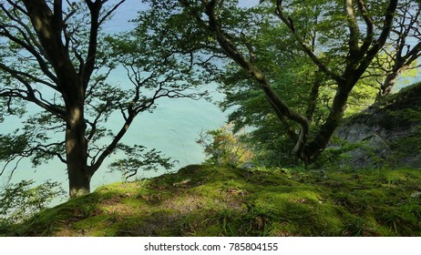 view from a cliff