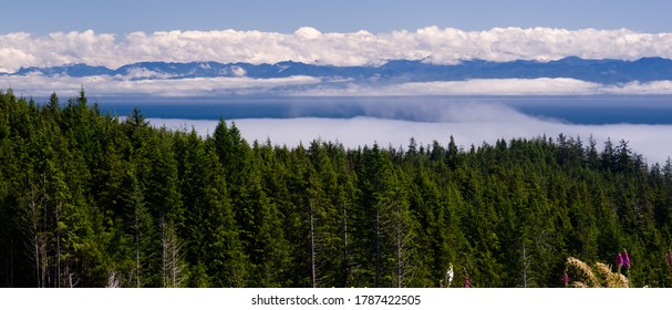 View Of Clouded Olympic Mountain Range