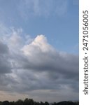 view of clouds above the forest