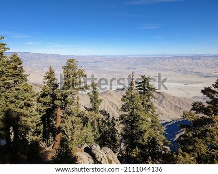 View of the Coachella Valley and San Jacinto State Park Forest Outside of Palm Springs, California on a Sunny Fall Day - Trees and Wind Farm View