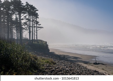 View Of The Coastal Landscape In Oregon: Ocean, Surrounded By Forest