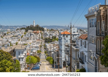 View of Coit Tower from Russian Hill, San Francisco, California, United States of America, North America