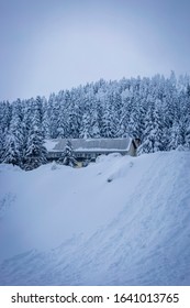 A view from the cold winter days
