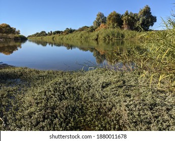 View Of The Colorado River From West Wetlands Park In Yuma, Arizona