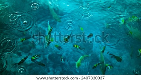 Similar – Image, Stock Photo fisheye Green Buoy Ocean