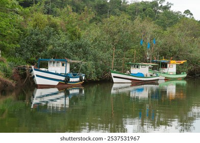 view, colorful fishing boats, reflected in calm water, anchored, in river channel, next to vegetation, rustic wooden walkway to exit - Powered by Shutterstock