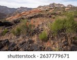 View of colorful rocks in Snow Canyon National Park, Lava Flow Trails, St. George, Utah, USA. 