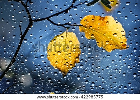 Similar – Image, Stock Photo bonnet decoration