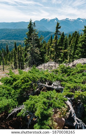 View of Comox Glacier and mountains from the summit of Mt. Becher, Stratchcona Provincial Park, British Columbia, Canada