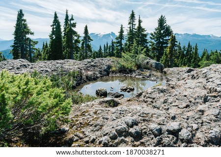 View of Comox Glacier and mountains from the summit of Mt. Becher, Stratchcona Provincial Park, British Columbia, Canada