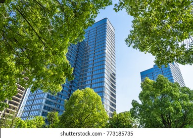 View Of Contemporary Glass Building With Green Trees, Shanghai, China
